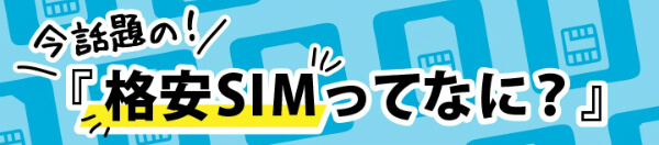 格安SIMを徹底解説