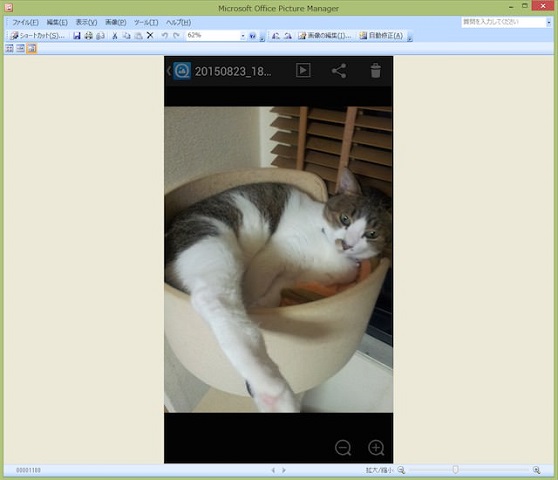 復元した写真