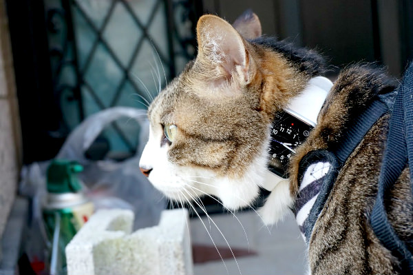 Apple Watch byナックル末吉