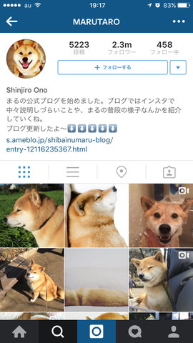 柴犬“まる”