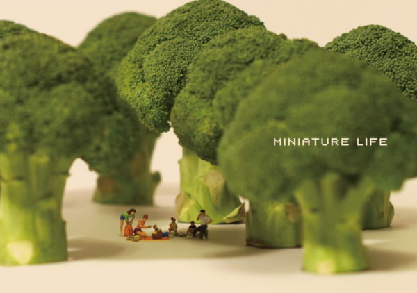 写真集『MINIATURE LIFE(ミニチュアライフ)』