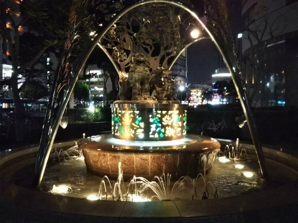AQUOS sense lite作例:夜の噴水を撮影