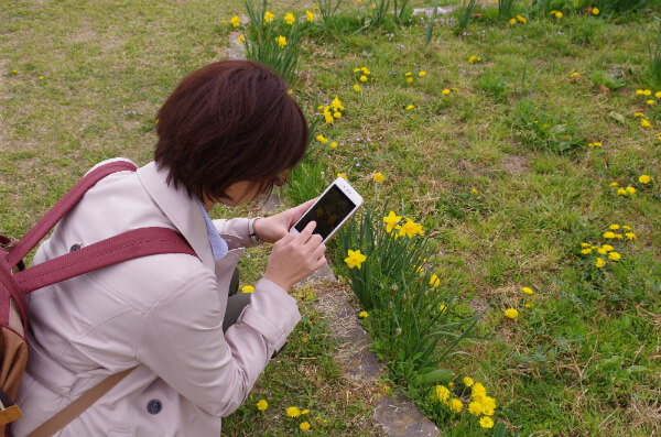 小さいお子さんがいるならカメラ性能にもこだわりたいですよね