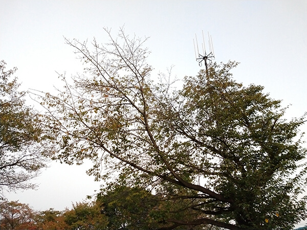 moto z3 playのカメラ