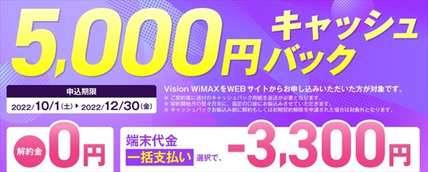 Vision WiMAX