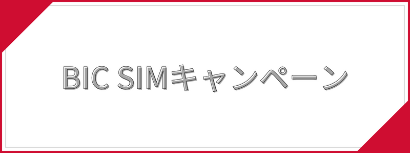 BIG SIMキャンペーン