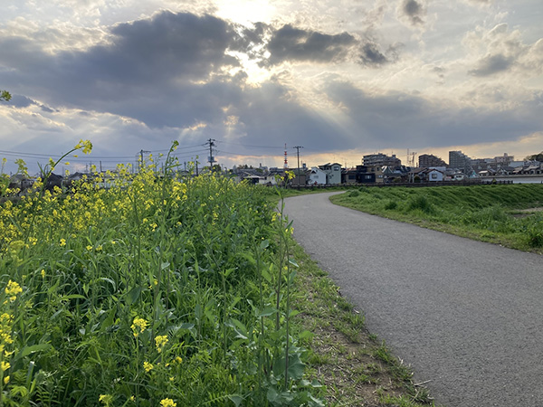 iPhoneで撮影した風景