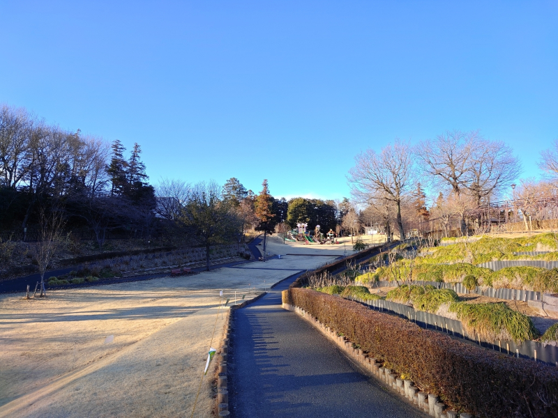 日中撮影の画質は？屋外・風景の写りをチェック