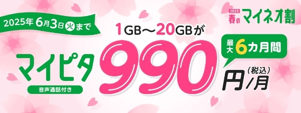 マイピタ1～20GB 最大6カ月間990円キャンペーン