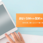 au SIMのみ