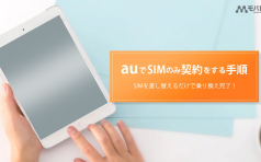 au SIMのみ