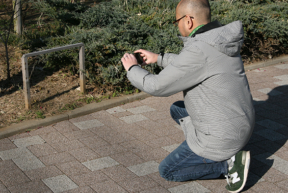 鳩に向かってGALAXY S5 ACTIVEを構える