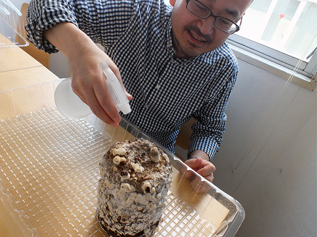大きく育つように心を込めながら、霧吹きでまんべんなく水をかける