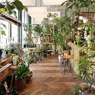 こんなお店がほしかった 家電店の常識を変えたお洒落なショップ 蔦屋家電 に行ってきた