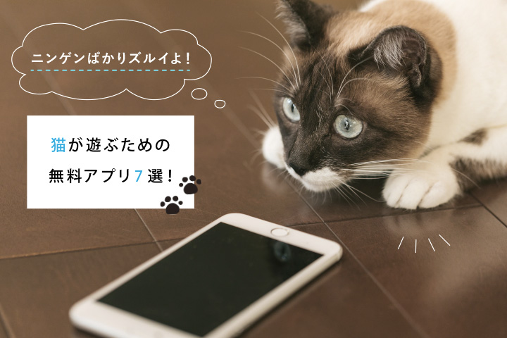 ニンゲンばかりズルイよ 猫が遊ぶための無料アプリ7選 モバレコ 通信 格安sim スマホ Wifi ルーター の総合通販サイト