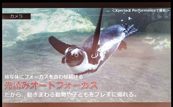 カメラに向かって動く被写体がすぐ撮影できる