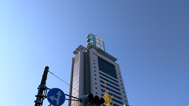内蔵カメラで撮影(倍率:1倍)