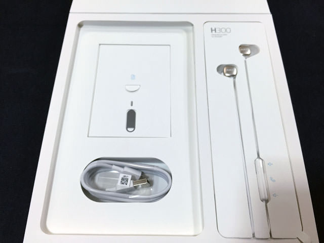 付属品一式が詰まっている