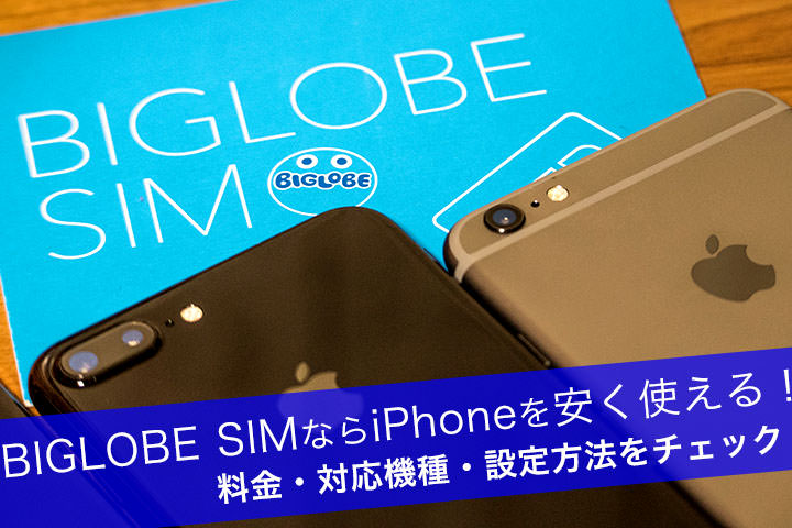 Biglobeモバイル Sim でiphoneの使う方法 設定や対応機種を徹底解説 モバレコ 格安sim スマホ の総合通販サイト