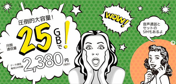 b-mobileSIM 25GB定額の料金