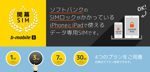 b-mobile S 開幕SIMの料金