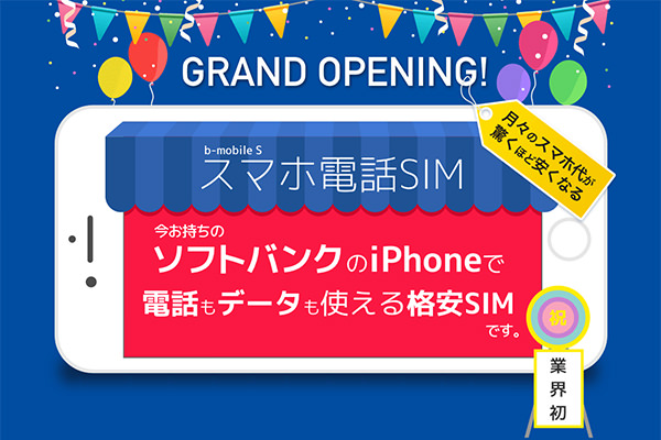 b-mobile S スマホ電話SIMの料金