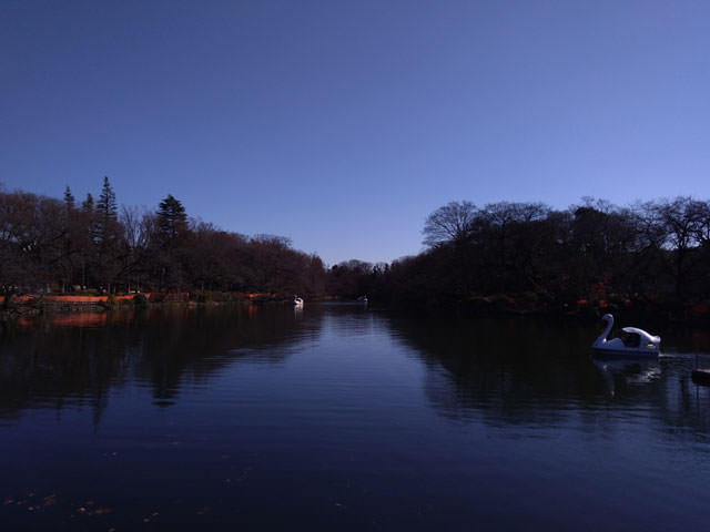 ZenFone 4 Max カメラ作例：井の頭公園（昼・自然光）