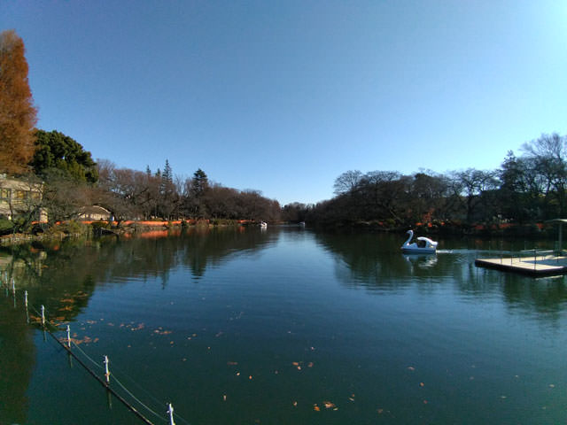 ZenFone 4 Max カメラ作例：井の頭公園（昼・自然光）・広角カメラ