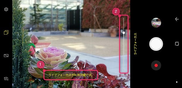 ライブフォーカス使用中の撮影画面。適切な距離を確保すると背景のボケ具合を調整できる