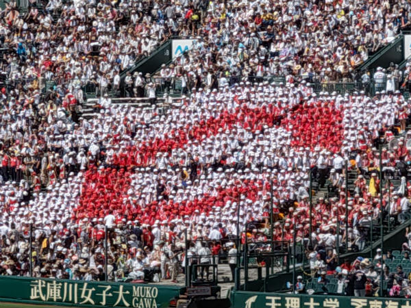 左から等倍/光学2倍/デジタル10倍ズーム。ズームでも劣化しない光学2倍ズームは利用機会が非常に多く、一度使うと非対応のスマートフォンには戻れない