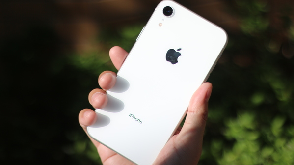iPhone XR カラー比較
