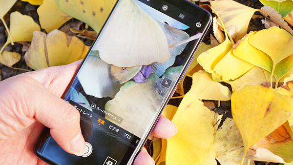 HUAWEI Mate 20 Proは被写体に2.5cmまで寄れる