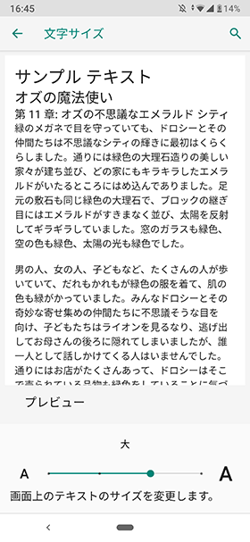 文字サイズ 大