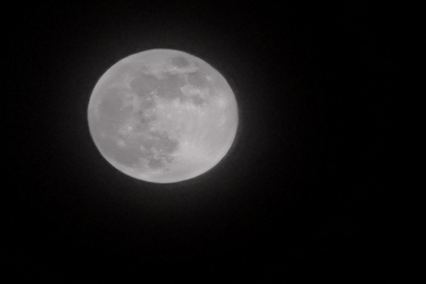 P30 Pro 50倍ズームで撮影した月の写真