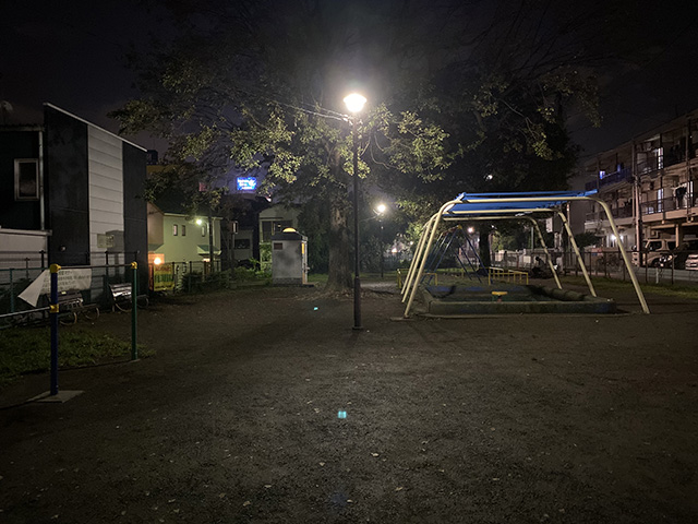 通常モードで撮影した夜の公園