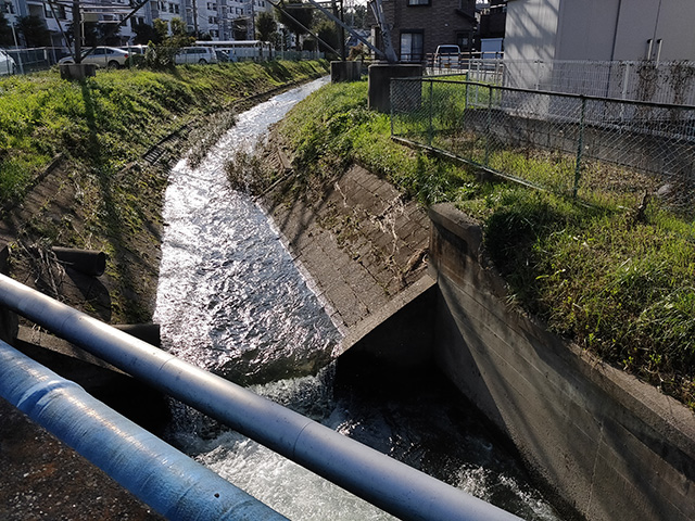 川辺の写真