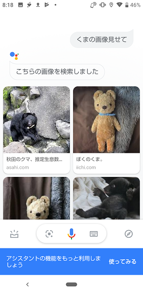 「OK,Google！」の設定：「熊の画像見せて」「子猫の動画見せて」