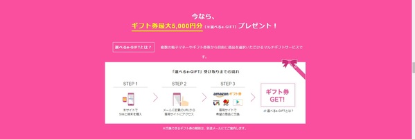 IIJmio 選べるe-GIFT プレゼント