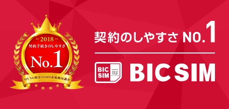 BIC SIM