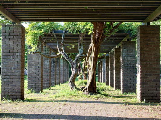 柱と樹木_x2.9
