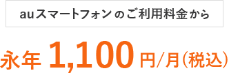 永年1,100円/月(税込)