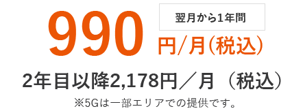移行翌月から1年間 990円/月(税込)