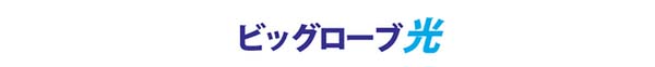 ビッグローブ光