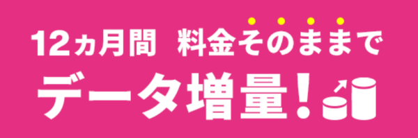 増量オプションII 1年間無料キャンペーン