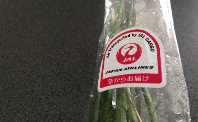 空からお届けです