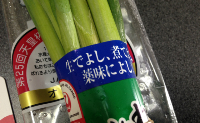 走攻守揃っている