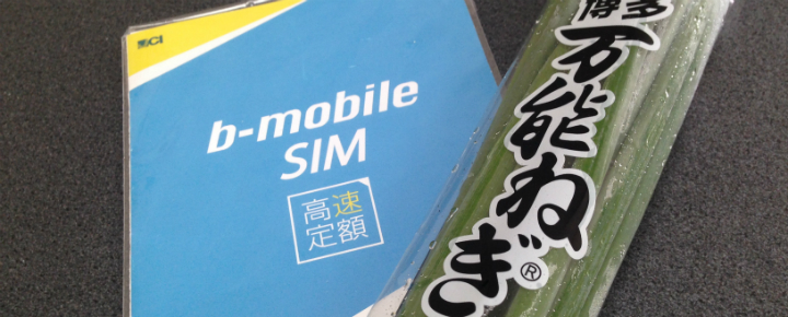 b-mobile高速定額と万能ねぎを比較してみた