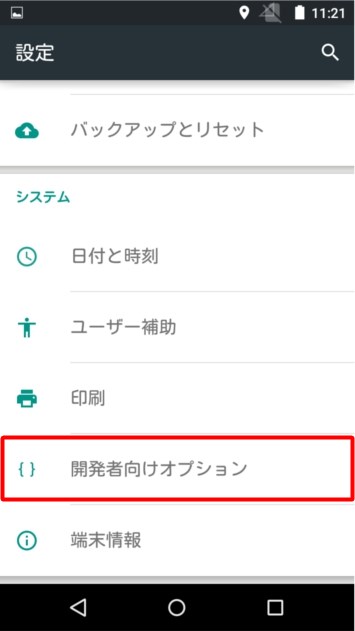 開発者向けオプション登場