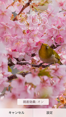 デジカメで撮った写真をiPhoneの壁紙に設定できる