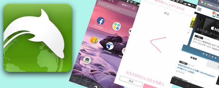 これぞ世界最速!無料なのにFlash対応なドルフィンブラウザの使い方
